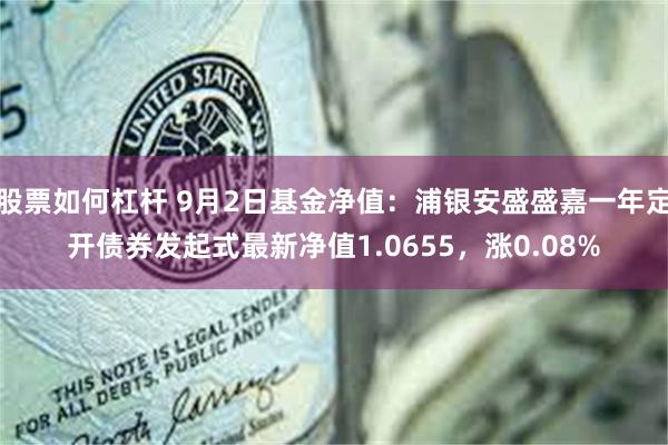 股票如何杠杆 9月2日基金净值：浦银安盛盛嘉一年定开债券发起式最新净值1.0655，涨0.08%