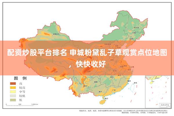 配资炒股平台排名 申城粉黛乱子草观赏点位地图，快快收好