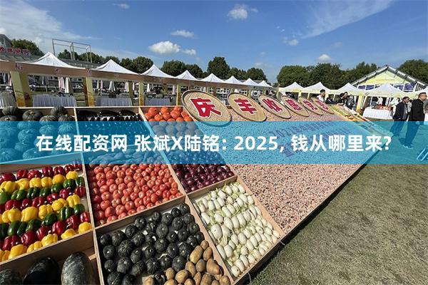 在线配资网 张斌X陆铭: 2025, 钱从哪里来?