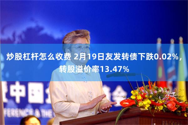 炒股杠杆怎么收费 2月19日友发转债下跌0.02%，转股溢价率13.47%