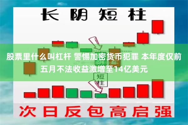 股票里什么叫杠杆 警惕加密货币犯罪 本年度仅前五月不法收益激增至14亿美元